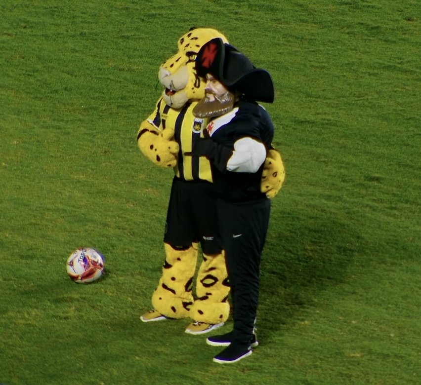 mascotes-de-vasco-e-volta-redonda-se-abracam-em-sao-januario;-veja