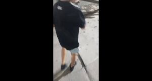 video-mostra-pequeno-vascaino-emocionado-em-sua-1a-ida-a-sao-januario;-veja