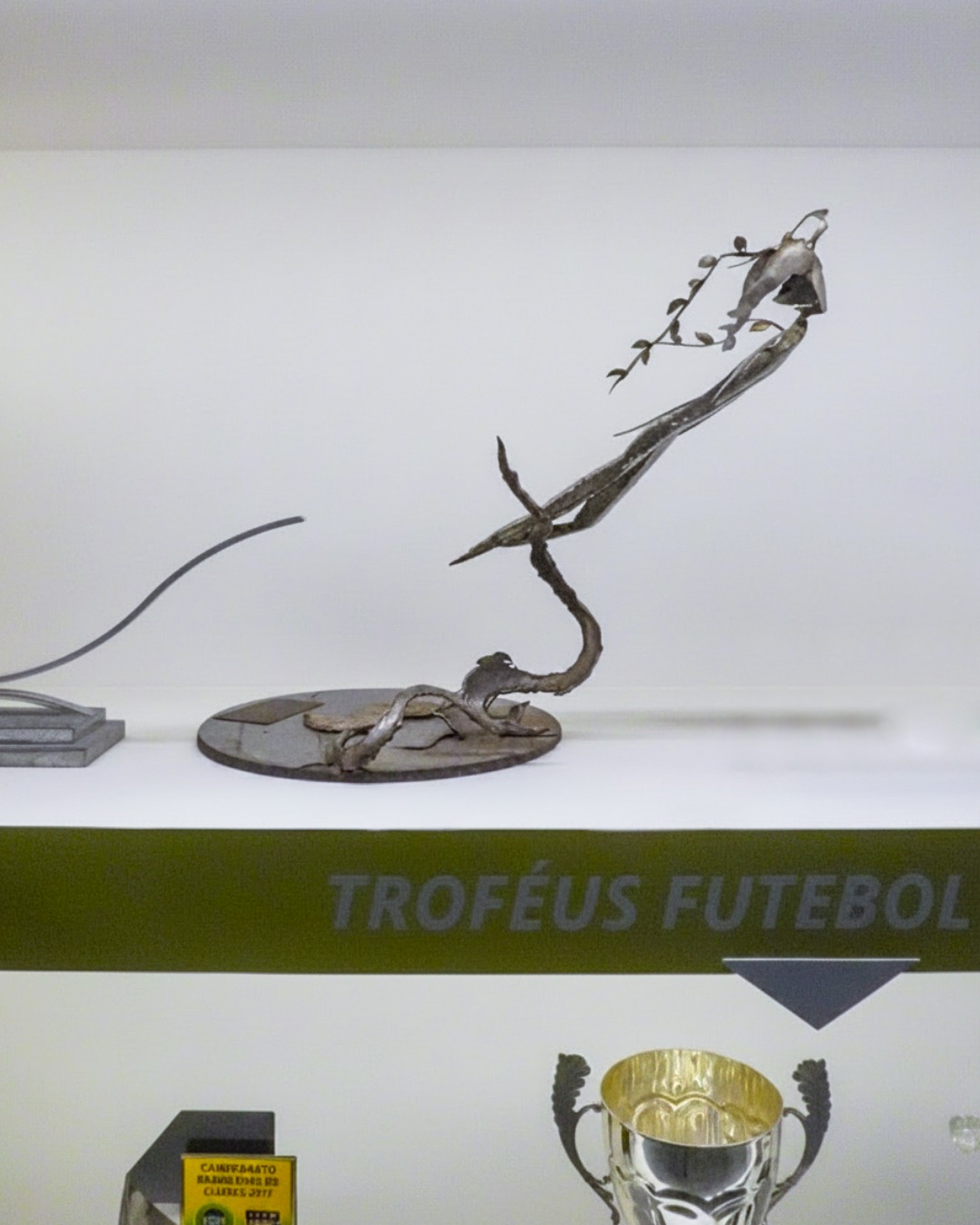 feminino:-museu-vasco-da-gama-destaca-trofeu-conquistado-no-paraguai-em-2000