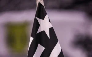 botafogo-e-outros-nove-clubes-receberao-antecipacao-de-r$-10-milhoes-da-ffu-em-outubro