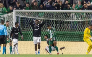 previa-da-partida:-botafogo-vs.-chapecoense