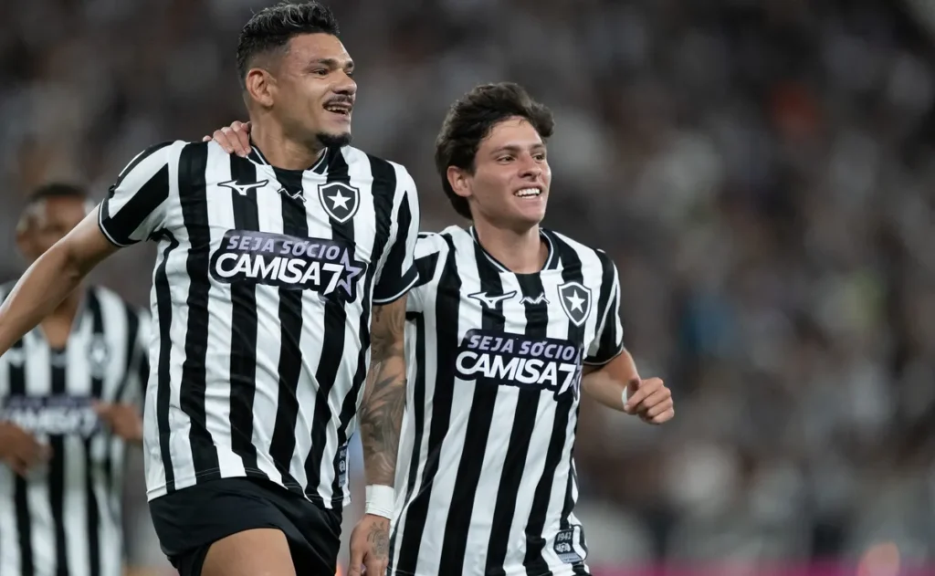 botafogo-vence-a-chapecoense-e-ve-risco-de-rebaixamento-ficar-mais-distante