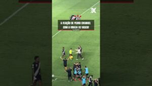 video-mostra-a-reacao-do-banco-do-vasco-no-momento-do-gol-da-virada-contra-o-corinthians;-veja